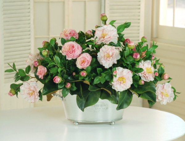 Citrus Blossom & Eucalyptus - Image 3